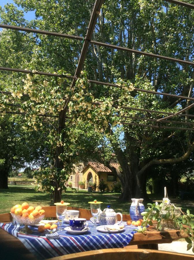 Villa Podere Il Giardino Castiglion Fiorentino Ngoại thất bức ảnh